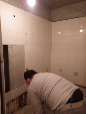 IMGP4712-e1723257070863